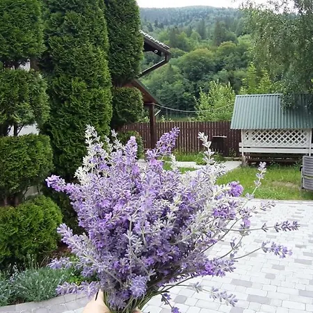 гірська соната *