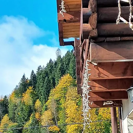 гірська соната מיקוליצ'ין