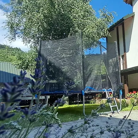 гірська соната וילה מיקוליצ'ין