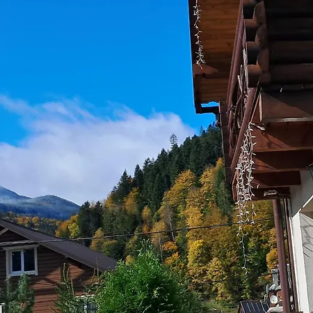 гірська соната Mykulychyn