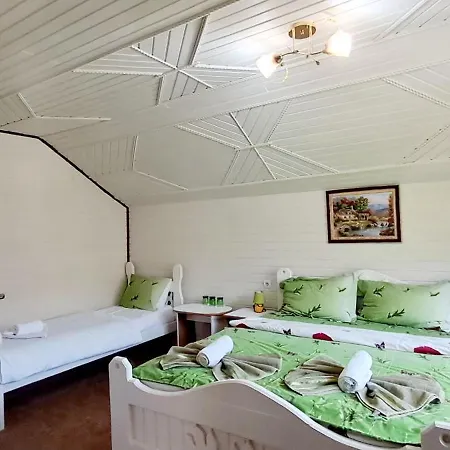 гірська соната מיקוליצ'ין