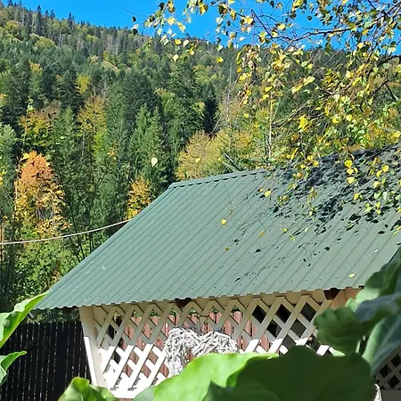 гірська соната וילה מיקוליצ'ין