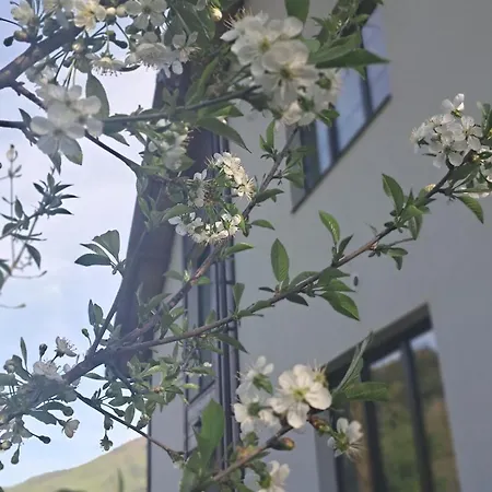 гірська соната וילה *